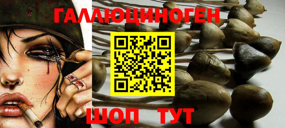 Галлюциногенные грибы MAGIC MUSHROOMS Звенигород
