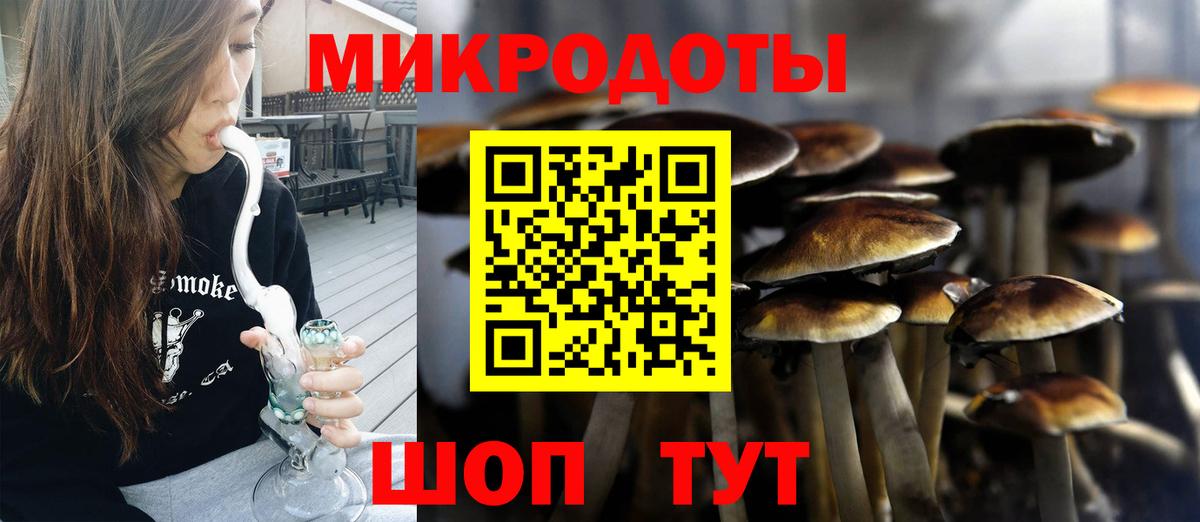 Звенигород  Галлюциногенные грибы Psilocybine cubensis  Вход с VPN 